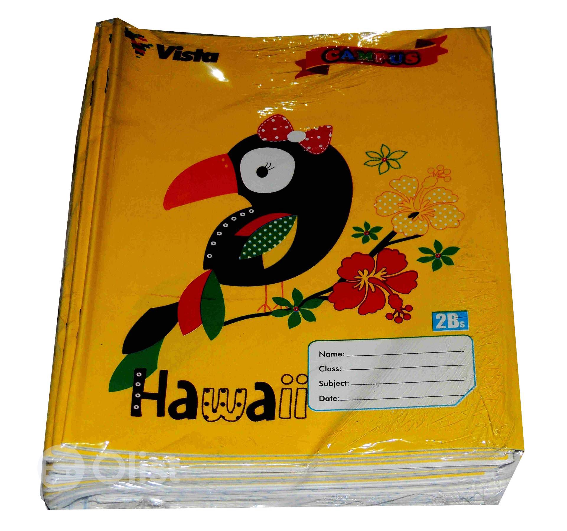 VISTALINE VL2D20LWA MYSCHOOL EXERCISE BOOK 2D - 20 LEAVES